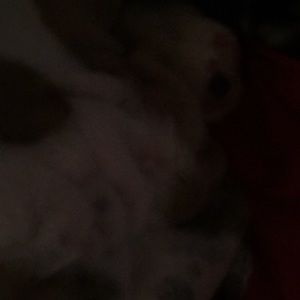 Meet your Posher, Evan